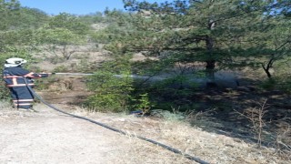 Çankırıda çıkan ot yangını büyümeden söndürüldü