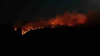 Çankırıdaki orman yangını havadan görüntülendi