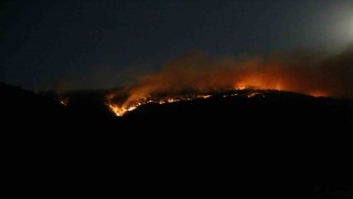 Çankırıdaki orman yangınına ekiplerin müdahalesi sürüyor