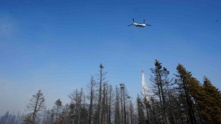 Çankırıdaki orman yangınına havadan ve karadan müdahale ediliyor