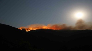 Çankırıdaki orman yangınında 40 hektar alan zarar gördü