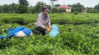 ÇAYKURdan 2. Sürgün için Aceleye getirmeyin uyarısı