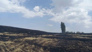 ÇEDAŞın arızalanan trafosu 400 dönüm araziyi küle çevirdi