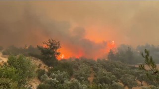 Cepheye gider gibi alevlerin üzerine böyle gittiler