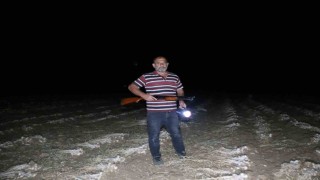 Çiftçilerin beyaz altın nöbeti: Sarımsaklar çalınmasın diye sabaha kadar tarlada nöbet tutuyorlar