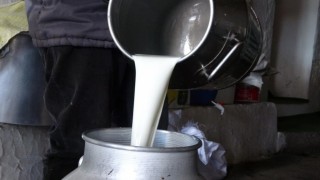 Çiğ süt fiyatları belli oldu