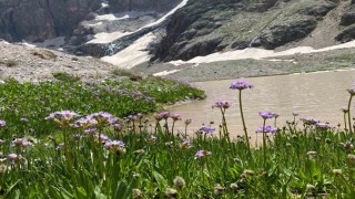 Cilo Dağında buzullar hızla eriyor