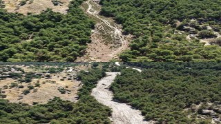 Çinede orman yangınlarına karşı önleyici temizlik çalışması yapıldı