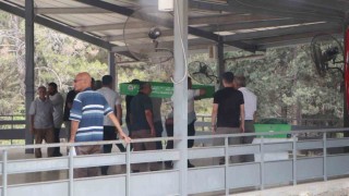 Cinnetin bıraktığı acı: Anne ve kızı yan yana, baba ayrı noktaya defnedildi