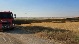 Çorumda 15 dönüm buğday ekili tarla alevlere teslim oldu