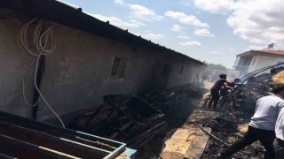 Çorumda çıkan yangında 550 balya ot kül oldu