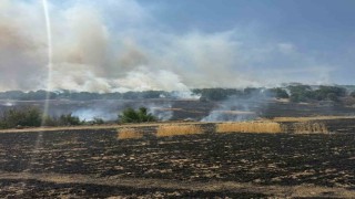 Çorumda tarlada çıkan yangın ormanlık alana ulaşmadan kontrol altına alındı
