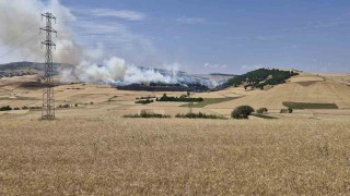 Çorumda tarlada çıkan yangında 200 dönüm ekili arazi kül oldu