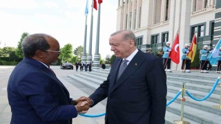 Cumhurbaşkanı Erdoğan, Somali Cumhurbaşkanı Mahmud ile görüştü
