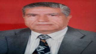 Cumhuriyetle yaşlı çınar hayatını kaybetti