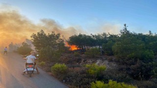 Cunda Adasındaki orman yangını büyümeden söndürüldü