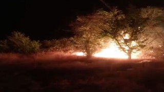 Darendede ot yangını