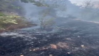 Datçada kuru ot yangını korkuttu