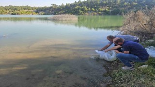 Dazkırıdaki Çiftlik köyü baraj göletinde balıklandırma yapıldı