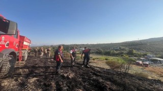 Defnede makilik alanda yangın çıktı