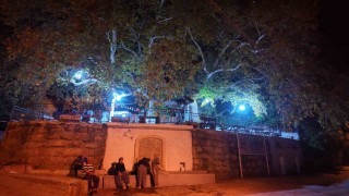 Demircide 2 bin yıllık anıt çınarda odun ateşinde çay