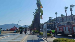 Deniz paraşütü palmiyeye takıldı