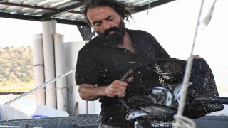 Denizi kıyısı olmayan Yozgat bozkırında yılda ortalama 225 ton balık üretiyor