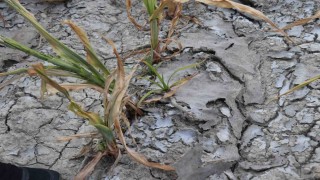 Denizli DESKİnin ihmalini TBMMye taşıyan Vekil; CHPli belediyenin çevreci maskesi düştü
