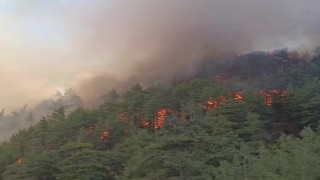 Denizlide boş evde çıkan yangın ormana sıçradı