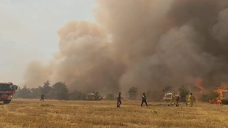 Denizlide çıkan orman yangını kontrol altına alındı