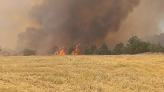Denizlide devam eden orman yangınına havadan ve karadan müdahale sürüyor