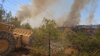 Denizlide makilik alanda çıkan orman yangınına müdahale ediliyor
