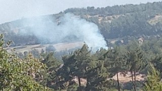 Denizlide sabaha karşı başlayan orman yangını hızlı müdahaleyle söndürüldü