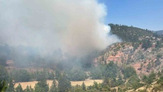 Denizlideki orman yangını kısmen kontrol altına alındı