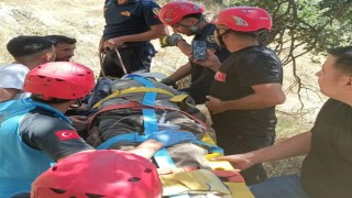 Dere kenarına düşen ve baygın halde bulunan yaşlı adam kurtarıldı