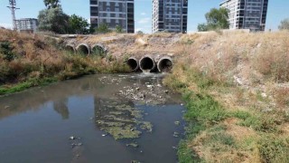 Dere yatağından yayılan kötü koku mahalleyi bezdirdi