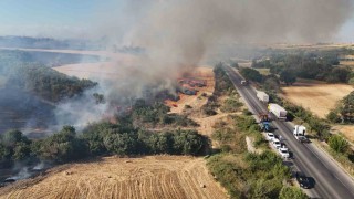 Devasa alevler uluslararası yolu trafiğe kapattı