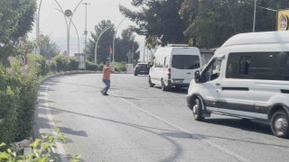 Dicle Üniversitesi yerleşkesinde yaya güvenliği endişesi