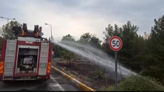 Dicle Üniversitesindeki örtü yangını söndürüldü