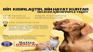 Didim Belediyesinden sokak hayvanlarına ücretsiz kısırlaştırma hizmeti