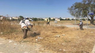 Didim genelinde temizlik ve yeşil alan bakımları yaz boyunca devam edecek