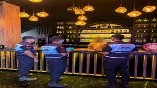 Didim ve Sultanhisarda 404 şahıs, 101 araç sorgulandı