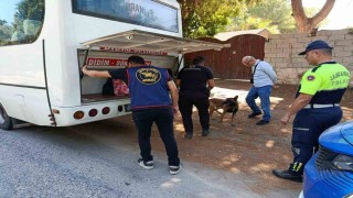 Didimde 17 aranan şahıs yakalandı