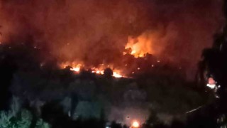 Dikilide orman yangını: Çanakkale yolu ulaşıma kapatıldı