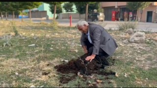 Diyadinde geleneksel koyun kırkımı devam ediyor