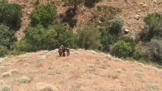 Diyarbakırda 71 yıl kesinleşmiş hapis cezası ile 20 yıldır aranan şahıs yakalandı