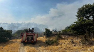 Diyarbakırda çıkan orman yangınına 9 saattir müdahale devam ediyor
