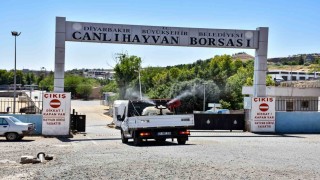 Diyarbakırda kapatılan Canlı Hayvan Borsası ilaçlanıp dezenfekte edildi