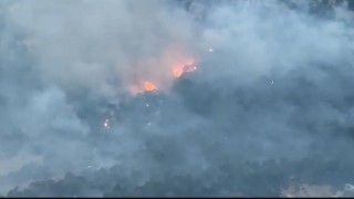 Diyarbakırda ziraat arazisinde başlayıp ormanlık alana sıçrayan yangın 10 saat sonra söndürüldü