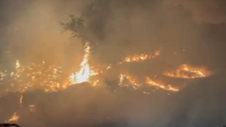 Diyarbakırın Ergani ve Lice ilçelerindeki yangın söndürüldü